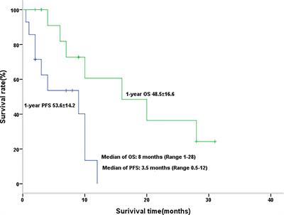 Irinotecan Plus Doxorubicin Hydrochloride Liposomes for Relapsed or Refractory Wilms Tumor